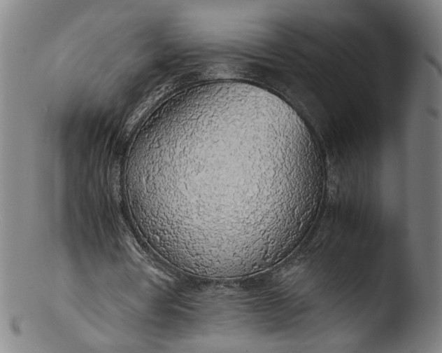 X0000103410386200809261648