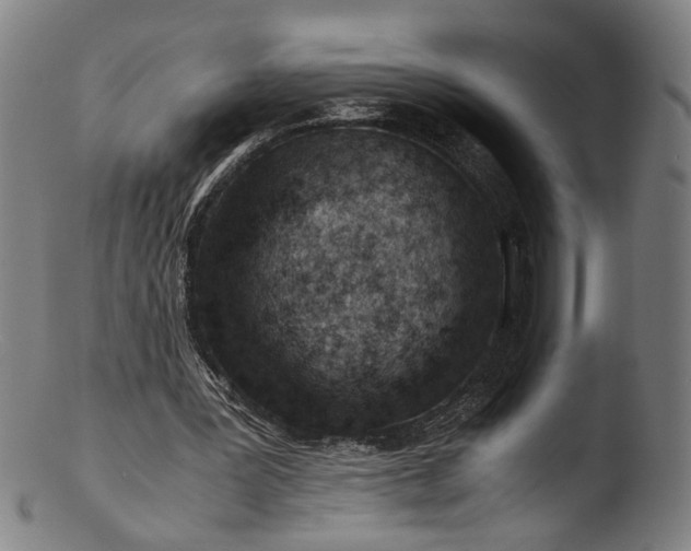 X0000103410387200809261648