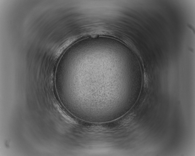 X0000103410389200809261648