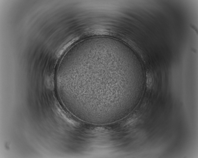 X0000103410390200809261648