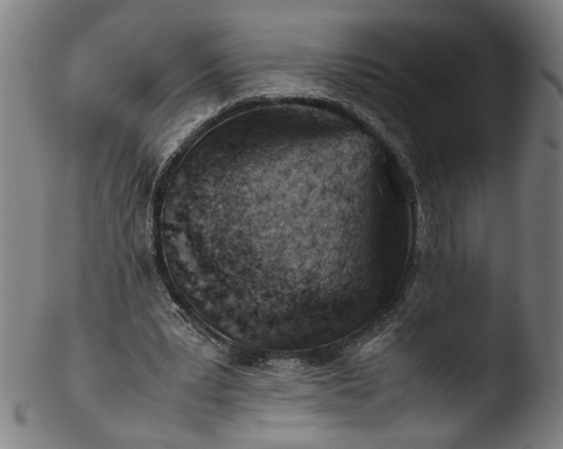 X0000103410391200809261648