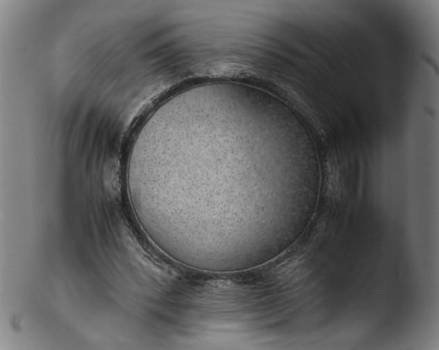 X0000103410392200809261648