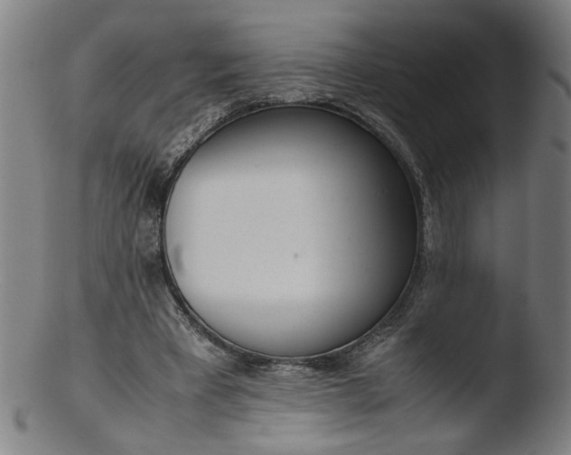 X0000103410393200809261648