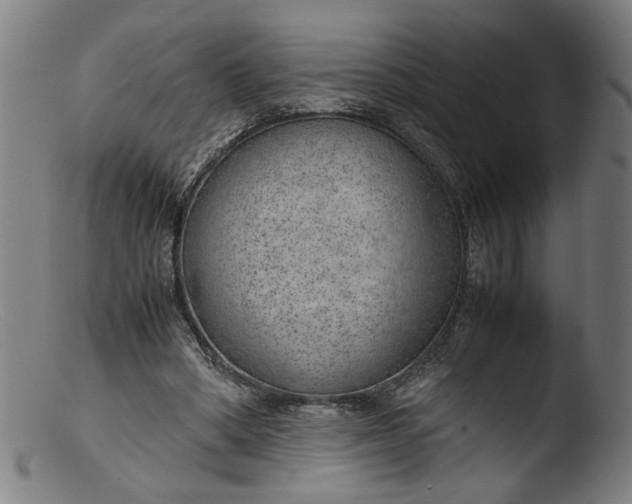 X0000103410394200809261648