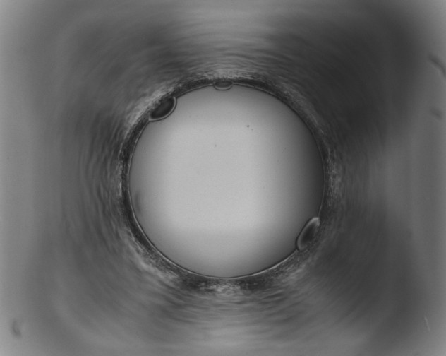 X0000103410395200809261648