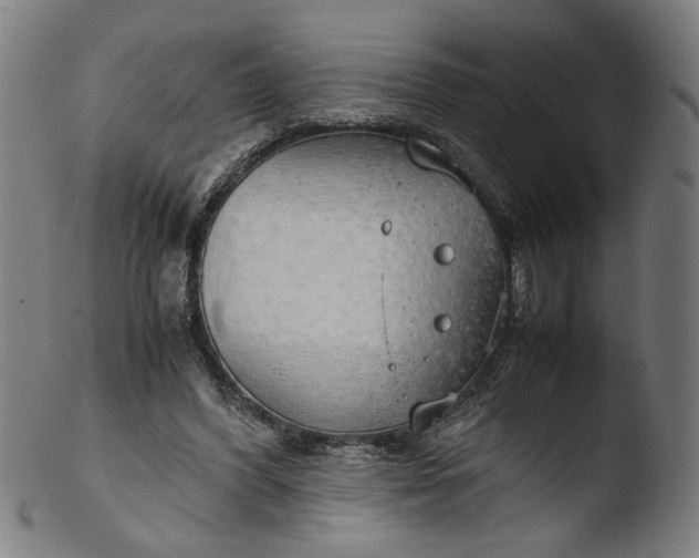 X0000103410396200809261648