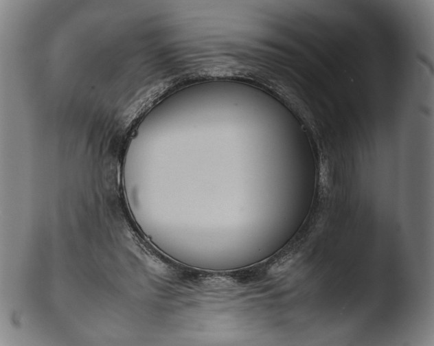 X0000103410397200809261648