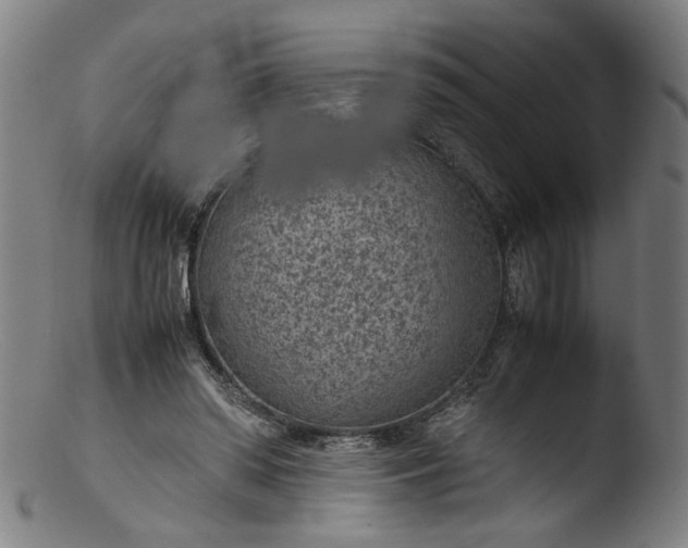 X0000103410398200809261648