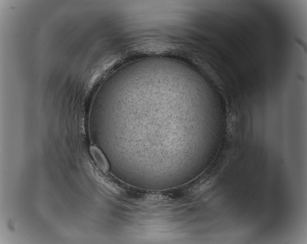 X0000103410399200809261648