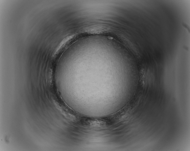 X0000103410400200809261648