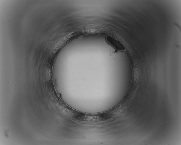 X0000103410401200809261648