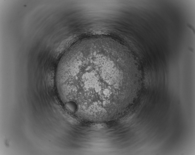 X0000103410402200809261648