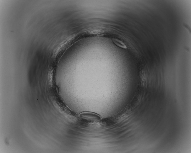 X0000103410404200809261648