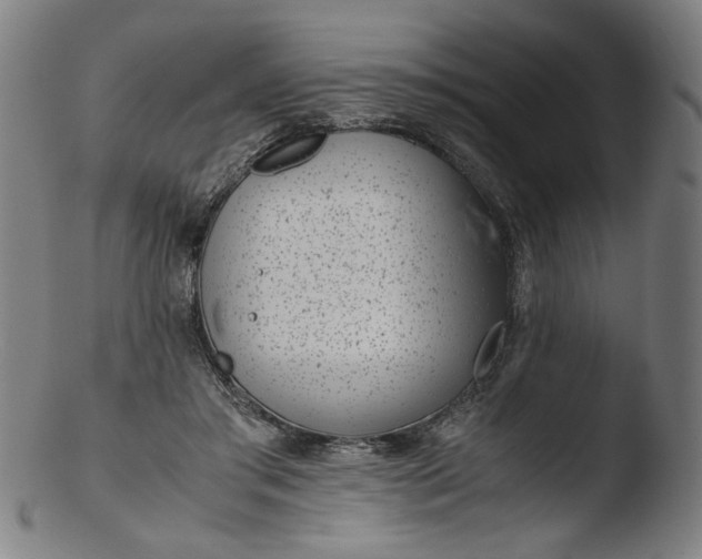 X0000103410405200809261648