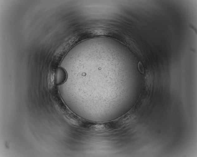 X0000103410406200809261648