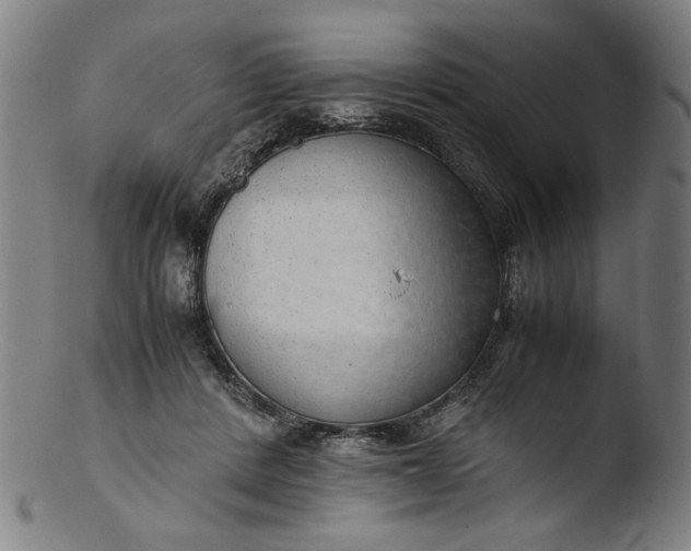 X0000103410408200809261648