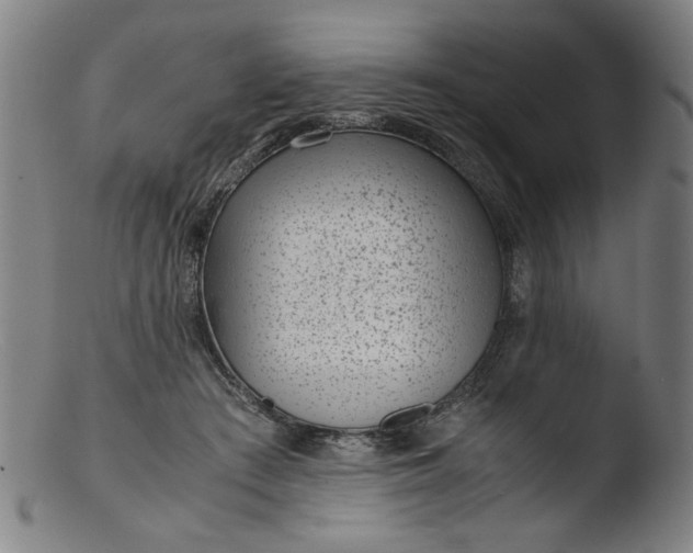 X0000103410409200809261648