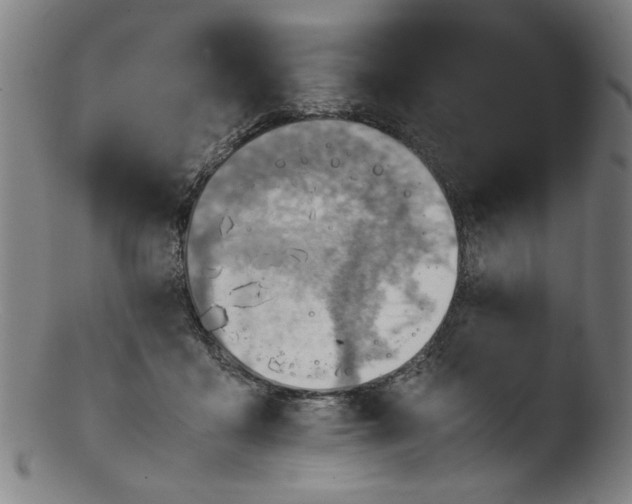 X0000103410411200809261648