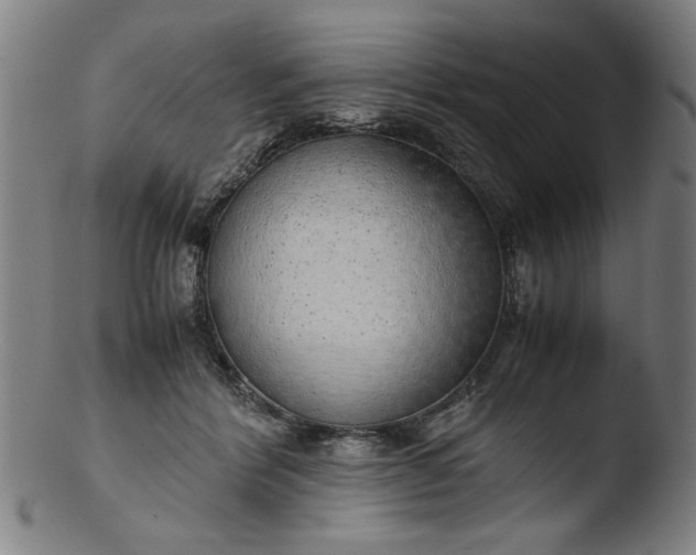 X0000103410412200809261648