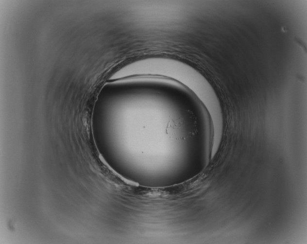 X0000103410415200809261648