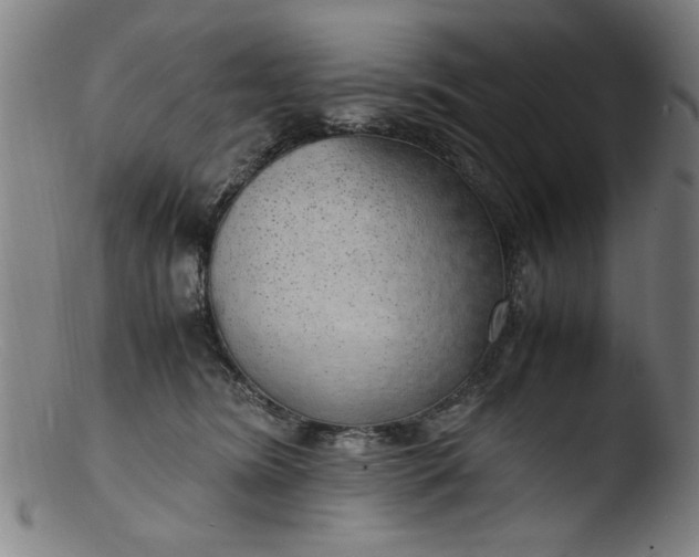 X0000103410420200809261648