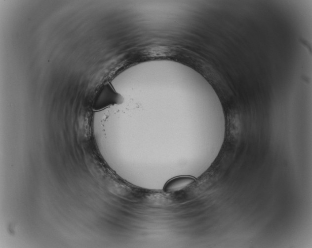 X0000103410422200809261648