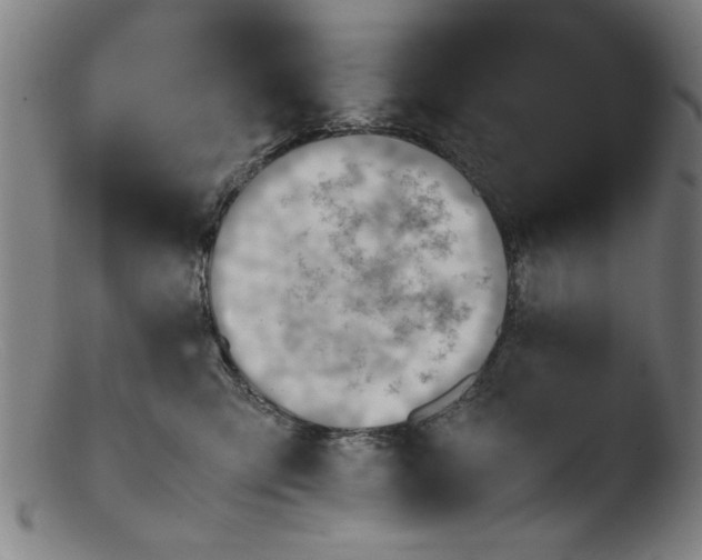 X0000103410423200809261648