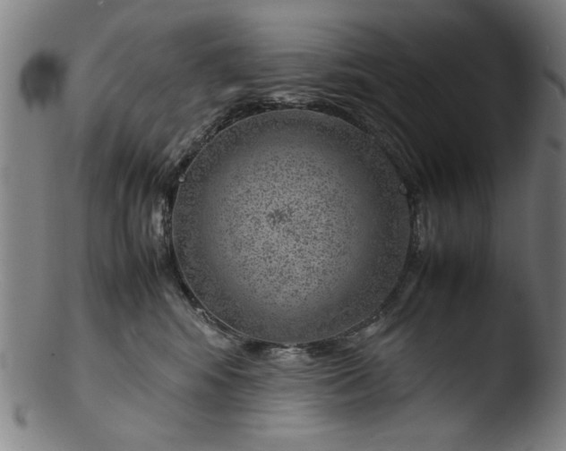 X0000103410424200809261648