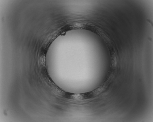 X0000103410425200809261648