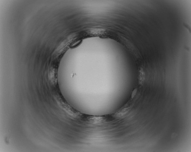 X0000103410428200809261648