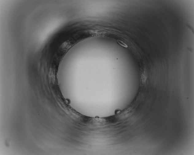 X0000103410429200809261648