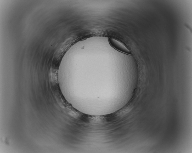 X0000103410432200809261648