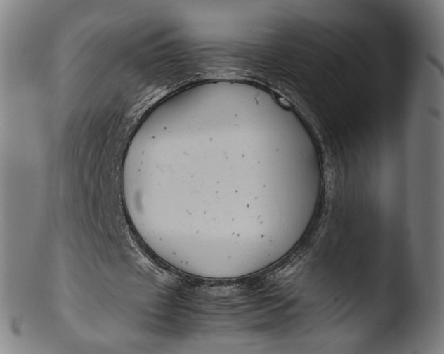 X0000103410433200809261647