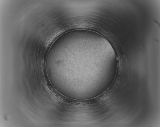 X0000103410434200809261647