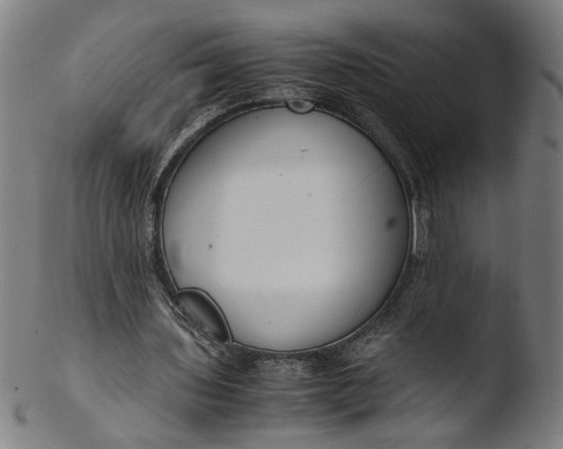 X0000103410435200809261647