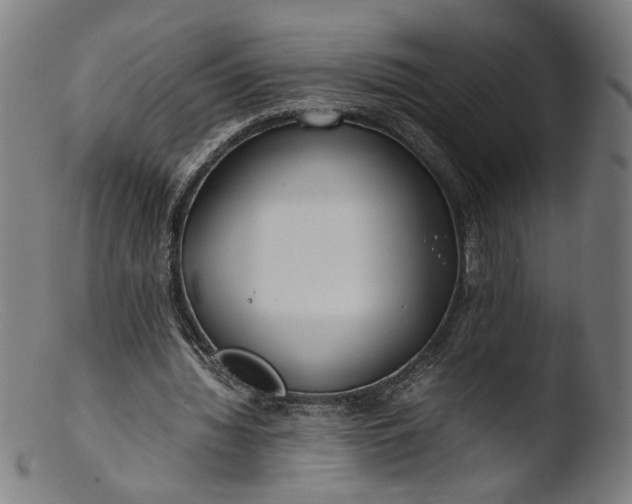 X0000103410436200809261647