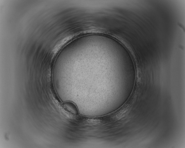 X0000103410437200809261647