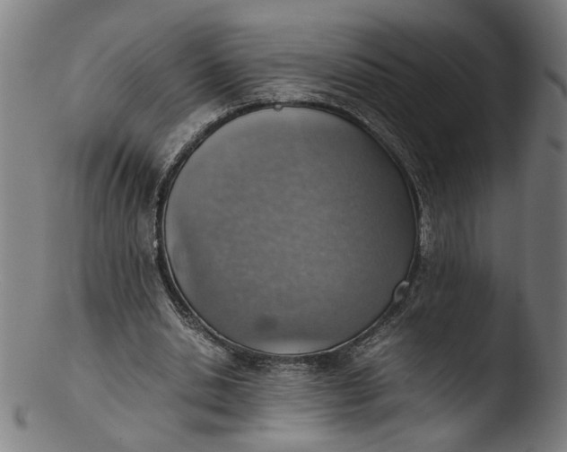 X0000103410438200809261647