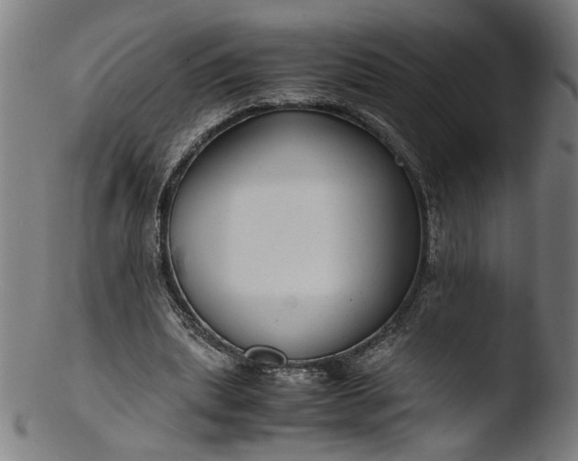 X0000103410439200809261647