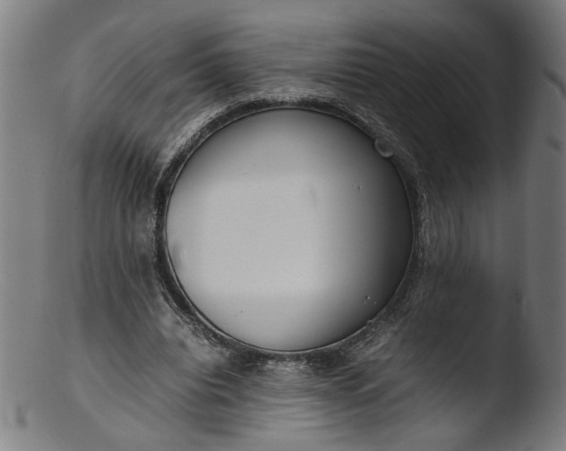 X0000103410440200809261647