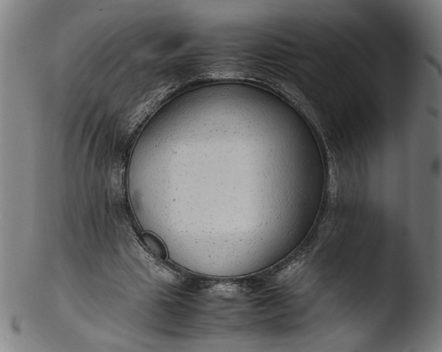 X0000103410441200809261647