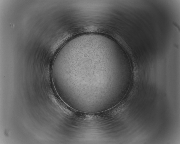 X0000103410442200809261647