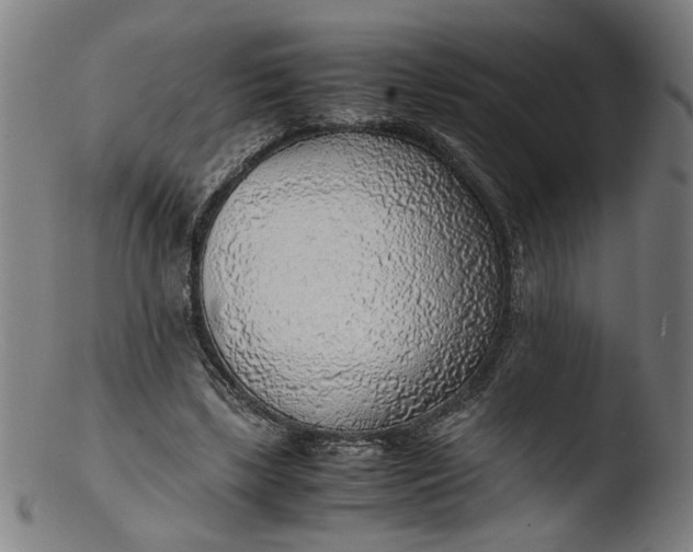 X0000103410443200809261647