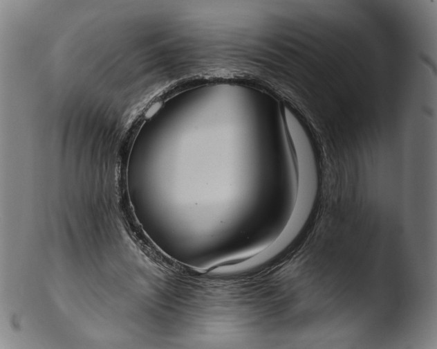 X0000103410444200809261647