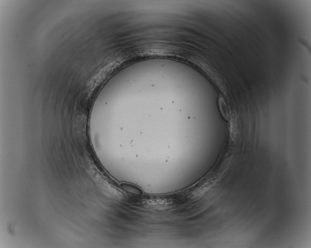 X0000103410445200809261647