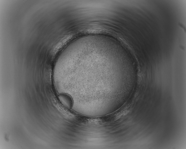 X0000103410446200809261647