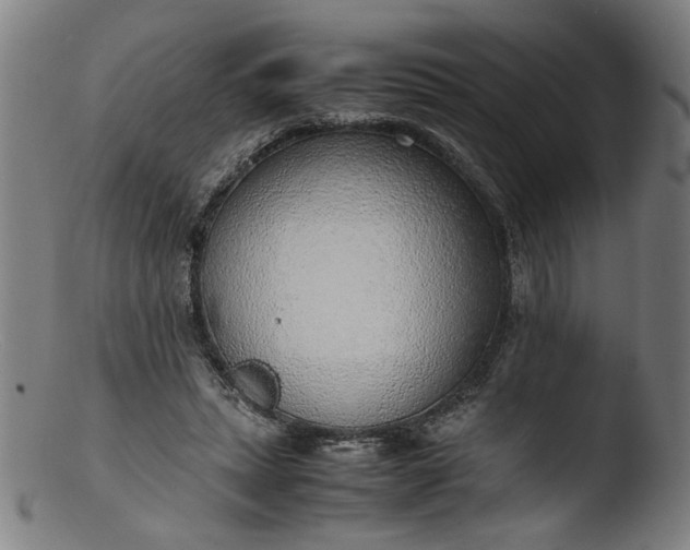 X0000103410447200809261647