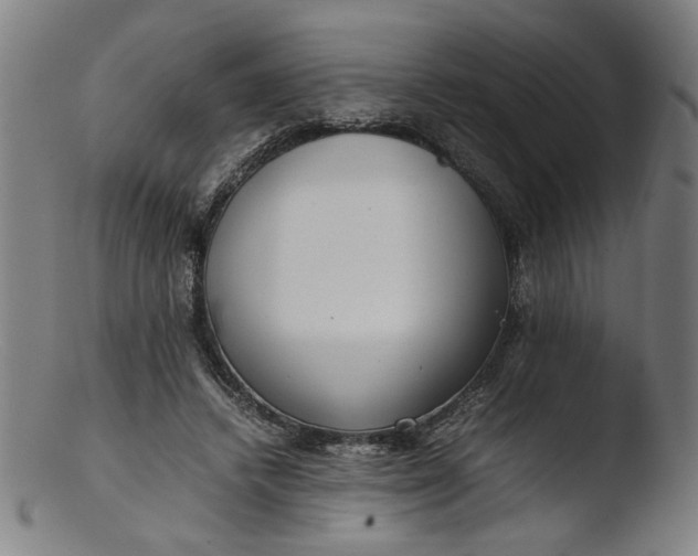 X0000103410448200809261647