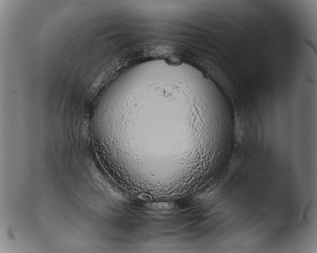 X0000103410449200809261647