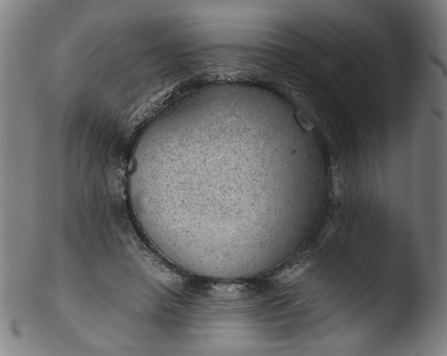 X0000103410450200809261647